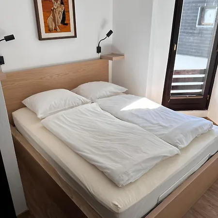 Διαμέρισμα Kaninska Vas *